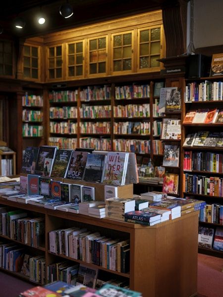 photo by Haberdoedas(https://unsplash.com/@haberdoedas?utm_source=templater_proxy&utm_medium=referral) on Unsplash